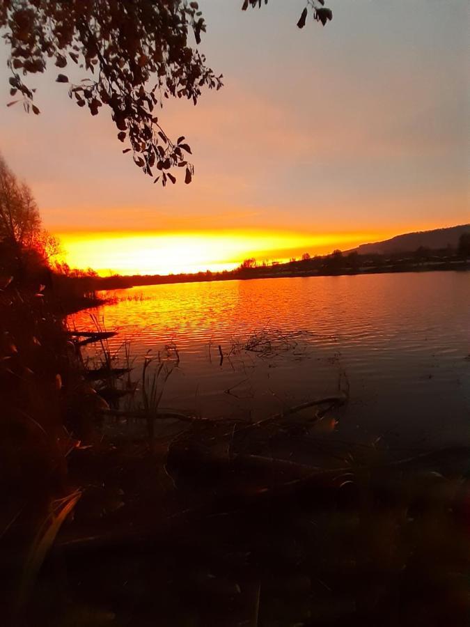 Ferienhaus Am Weserberglandsee Lauenforde エクステリア 写真