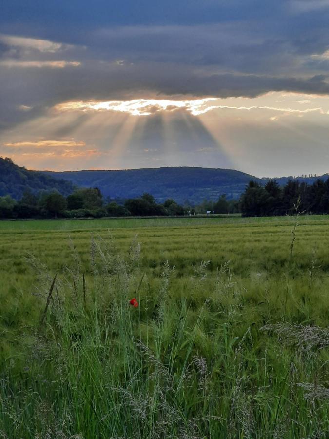Ferienhaus Am Weserberglandsee Lauenforde エクステリア 写真